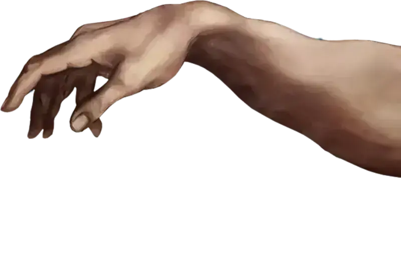 Right human hand